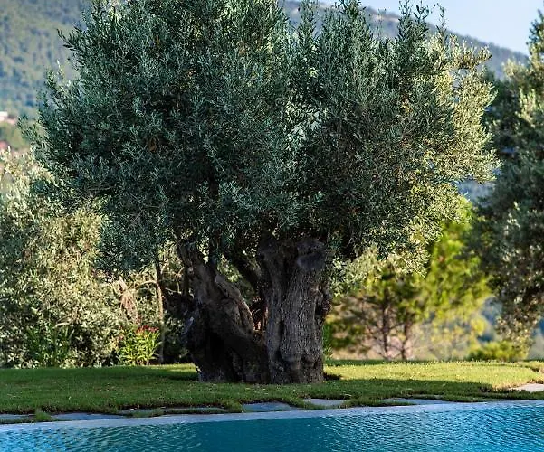 Stargaze Panormos (Skopelos)